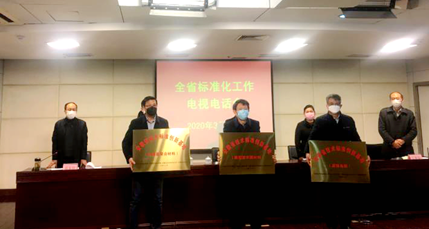 皖南電機獲“安徽省技術(shù)標(biāo)準(zhǔn)創(chuàng)新基地（高效電機）”標(biāo)牌
