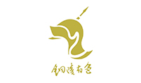 銅陵有色集團